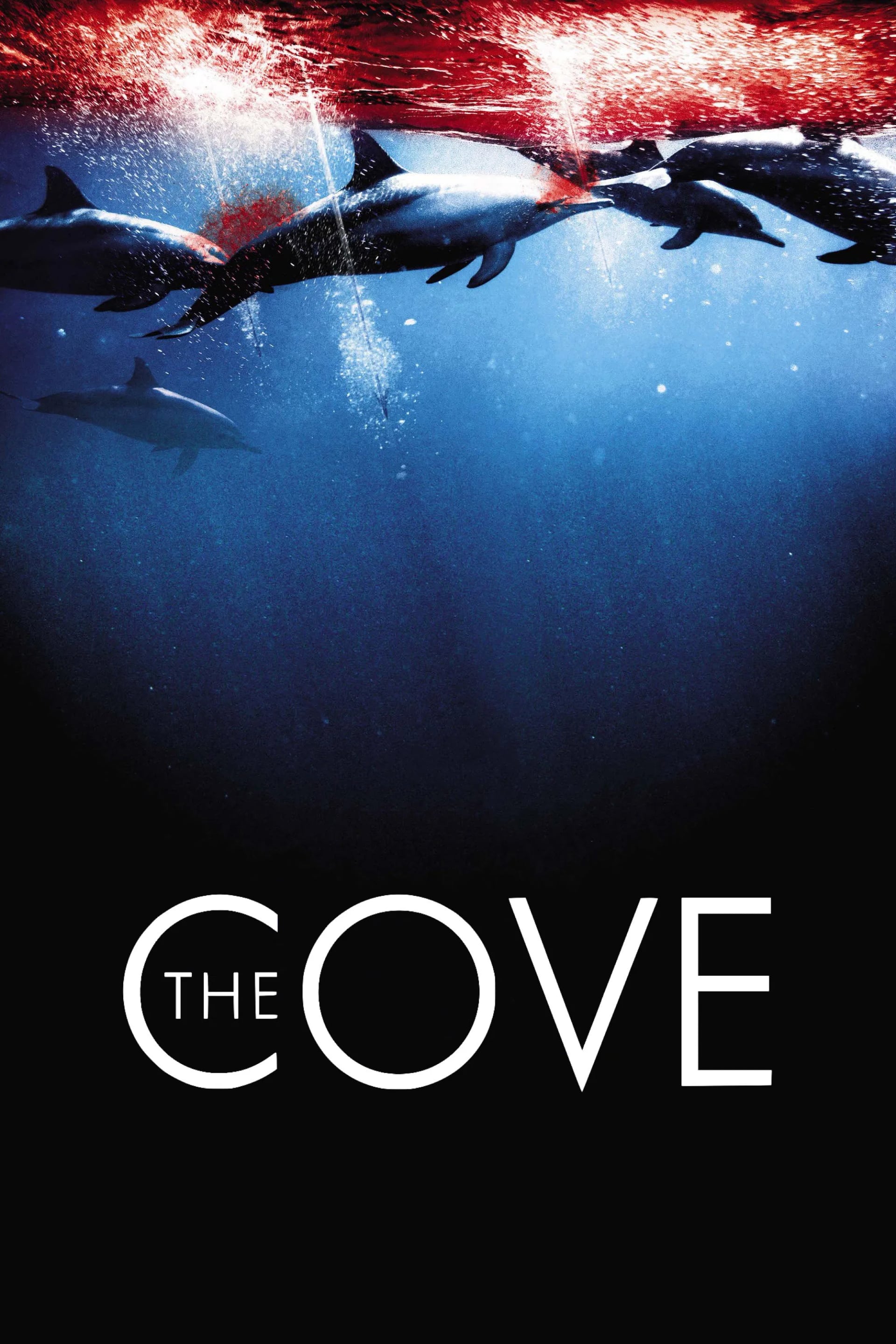 The Cove - Cover