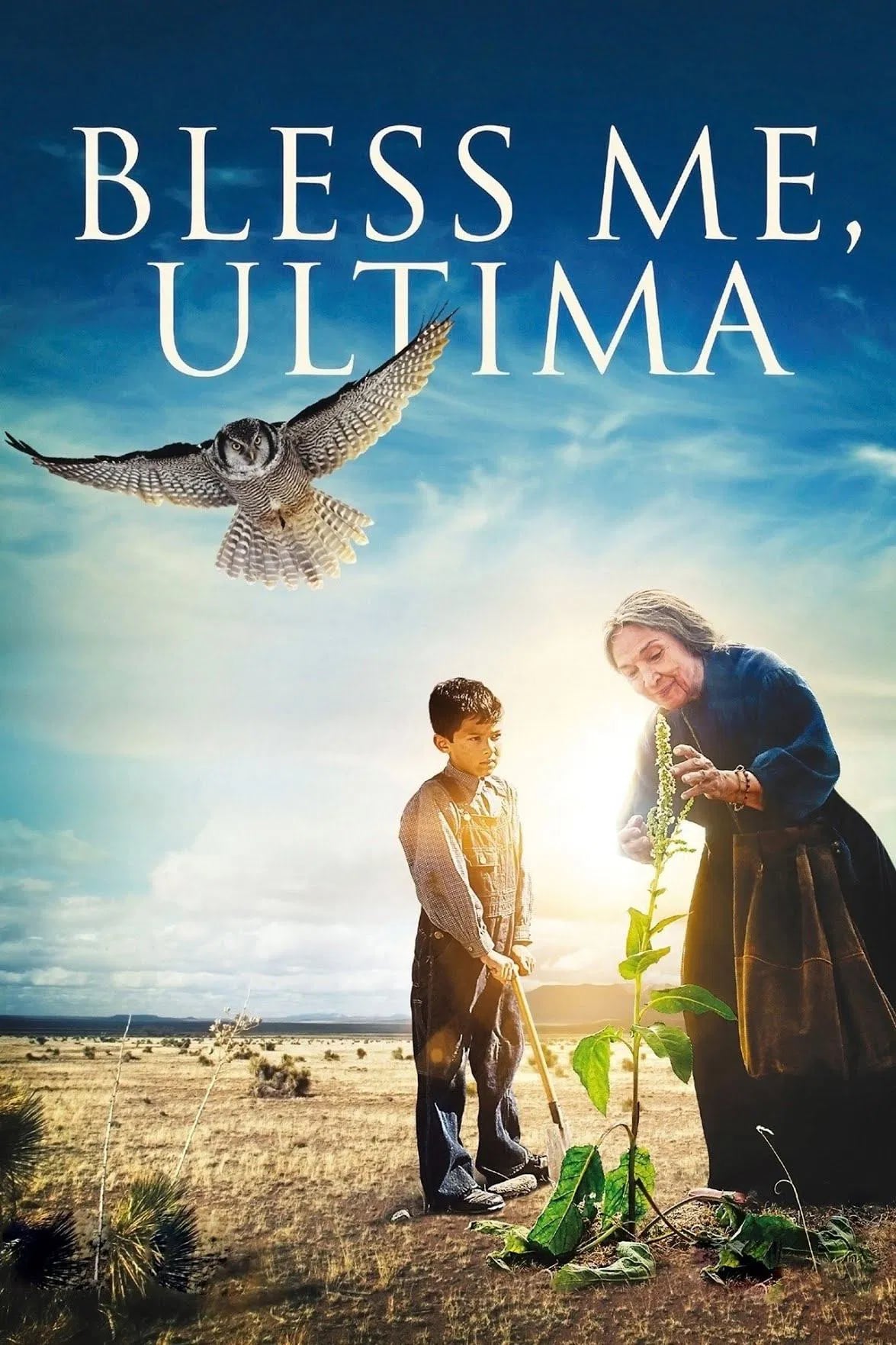 Bless Me, Ultima - Cover