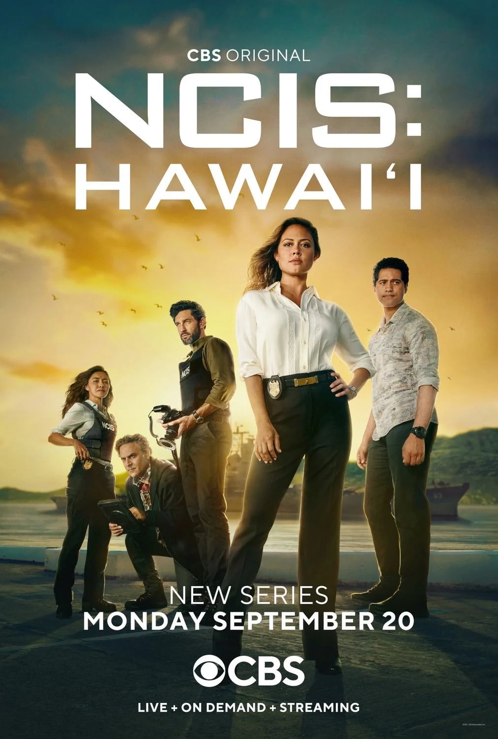 NCIS : Hawaï - Cover