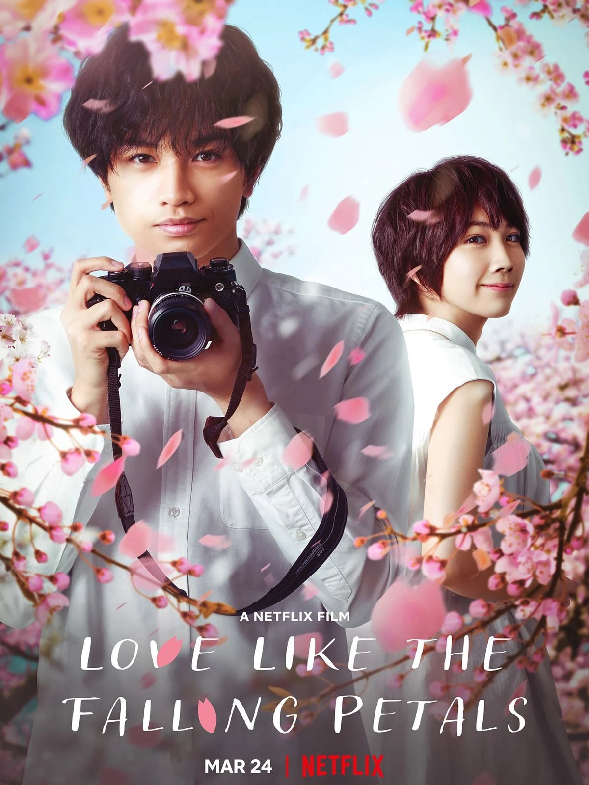 Love like the falling petals - Cover
