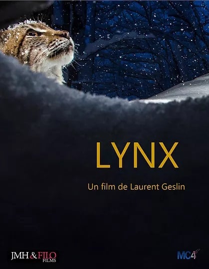 Lynx - Cover