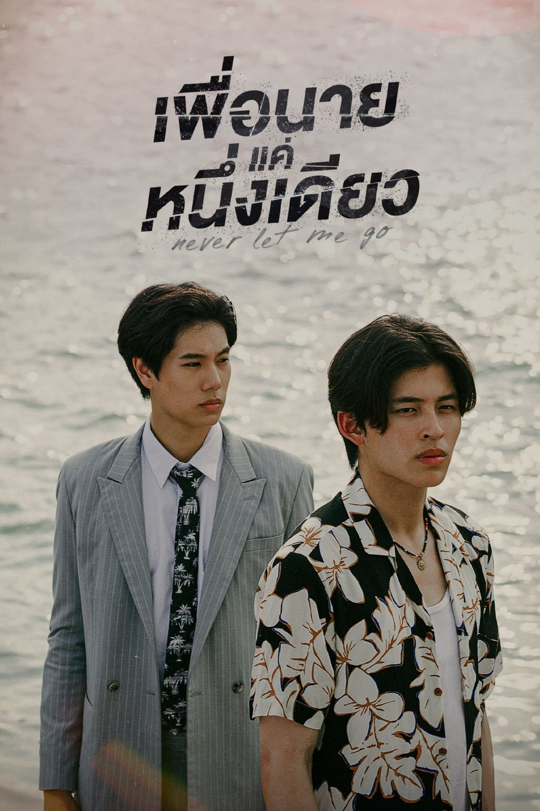 Never Let Me Go - Cover