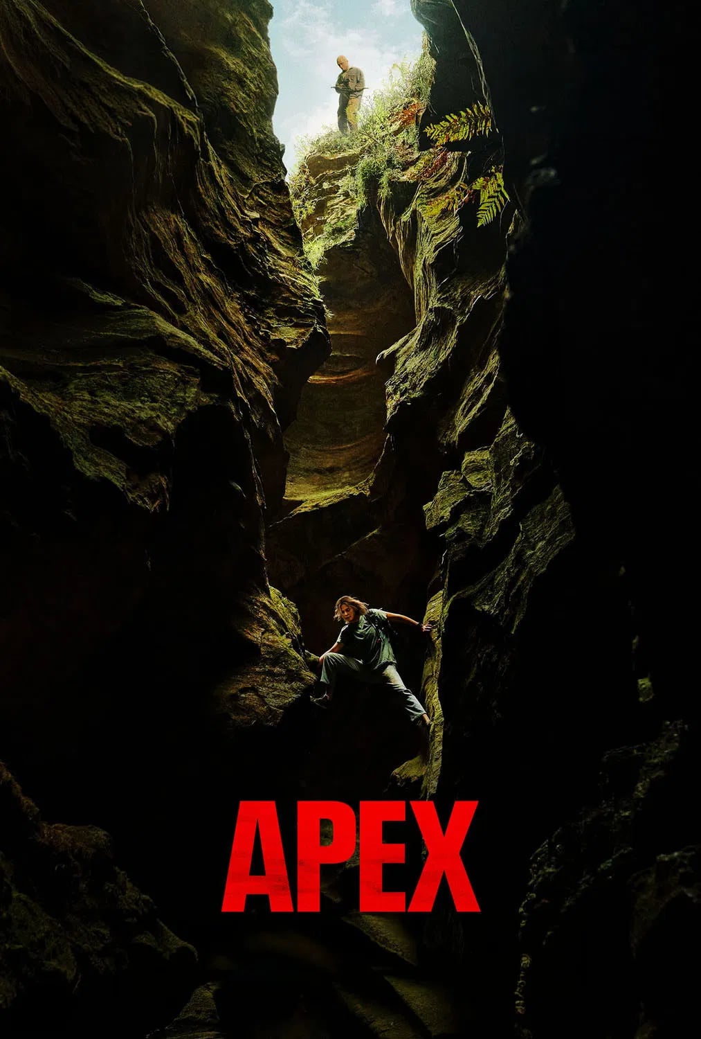 Apex - Cover