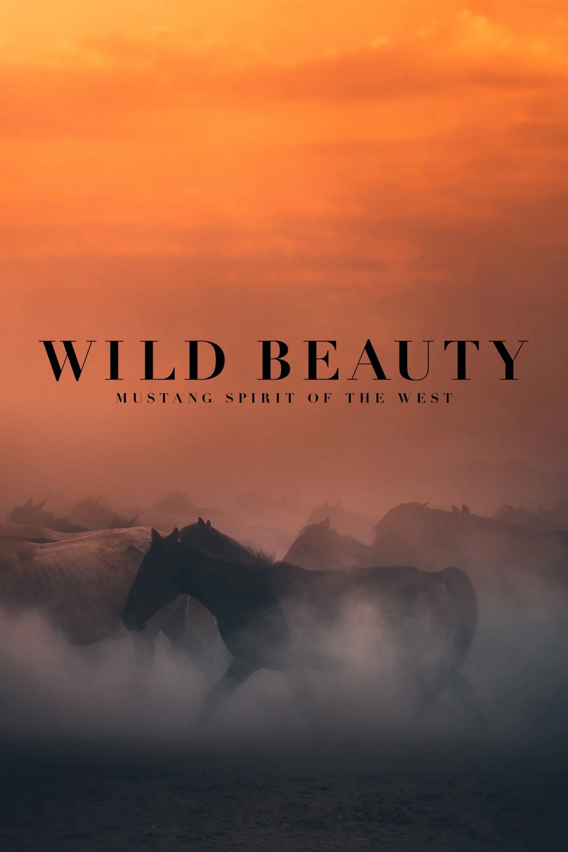 Wild Beauty: Mustang Spirit of the West - Cover