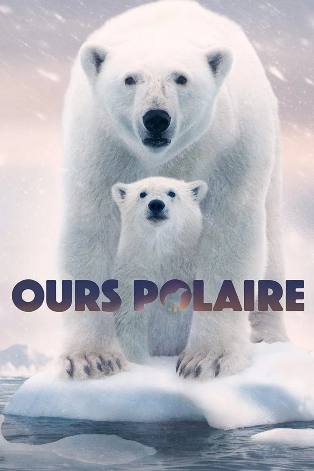 Ours polaire - Cover