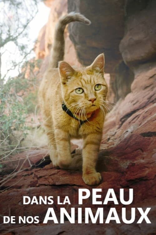 Dans la peau de nos animaux - Cover