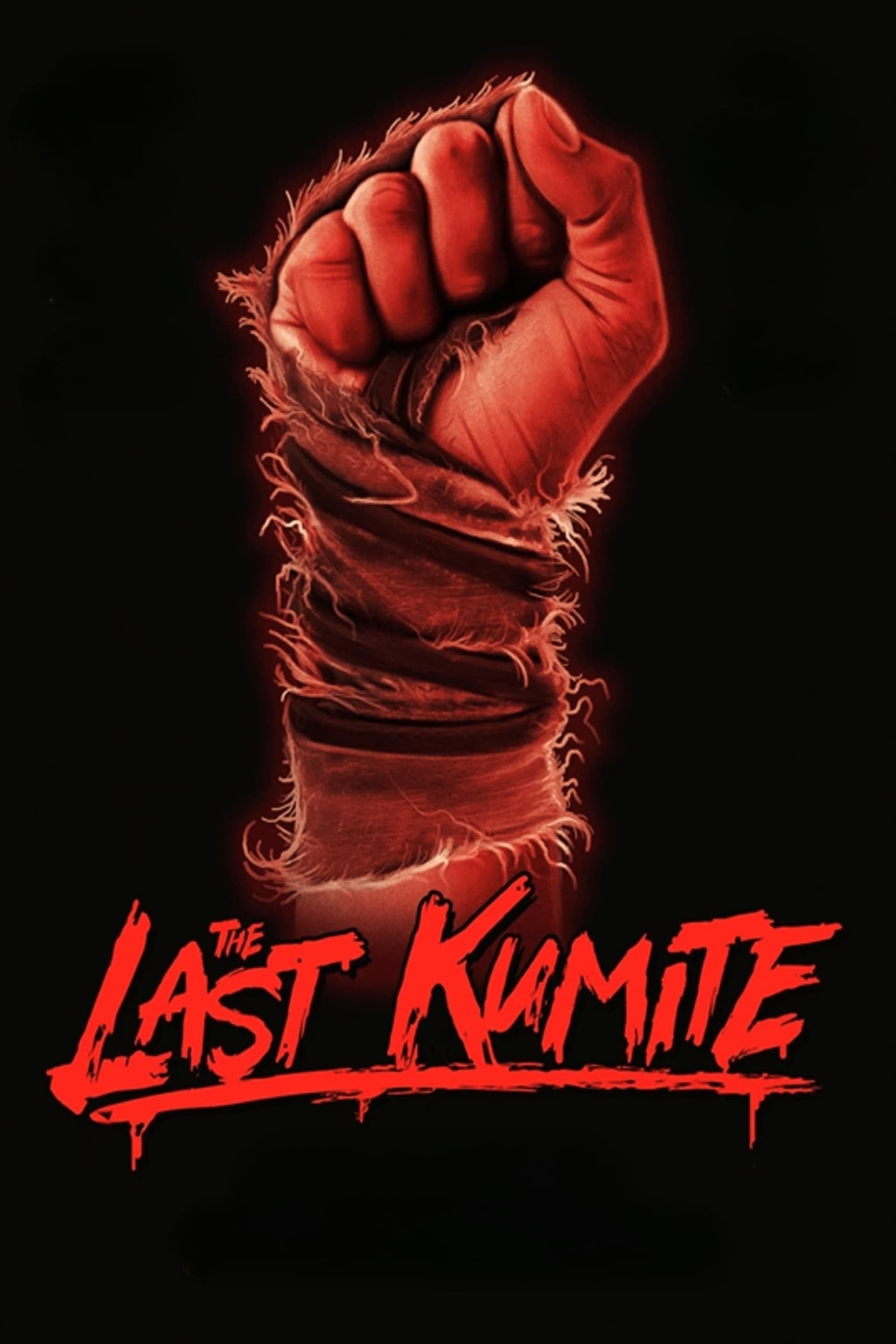 The Last Kumite - Cover