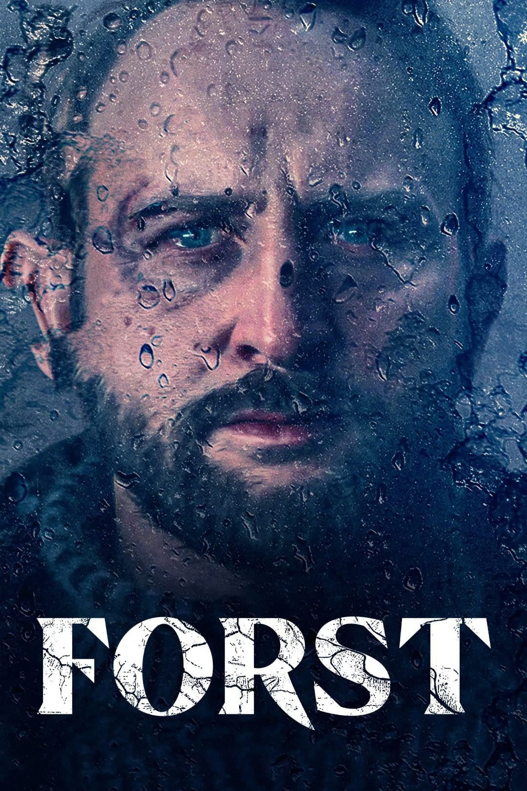 Forst - Cover