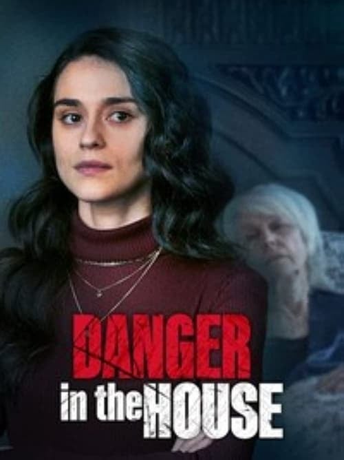 Danger in the House - Cover