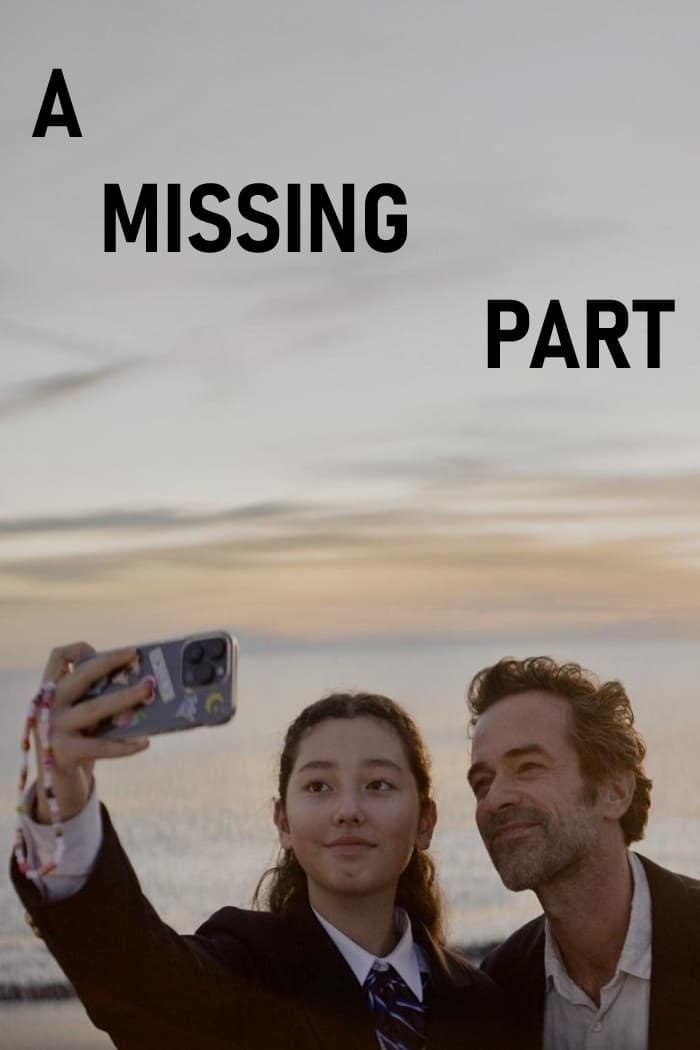 A Missing Part - Cover