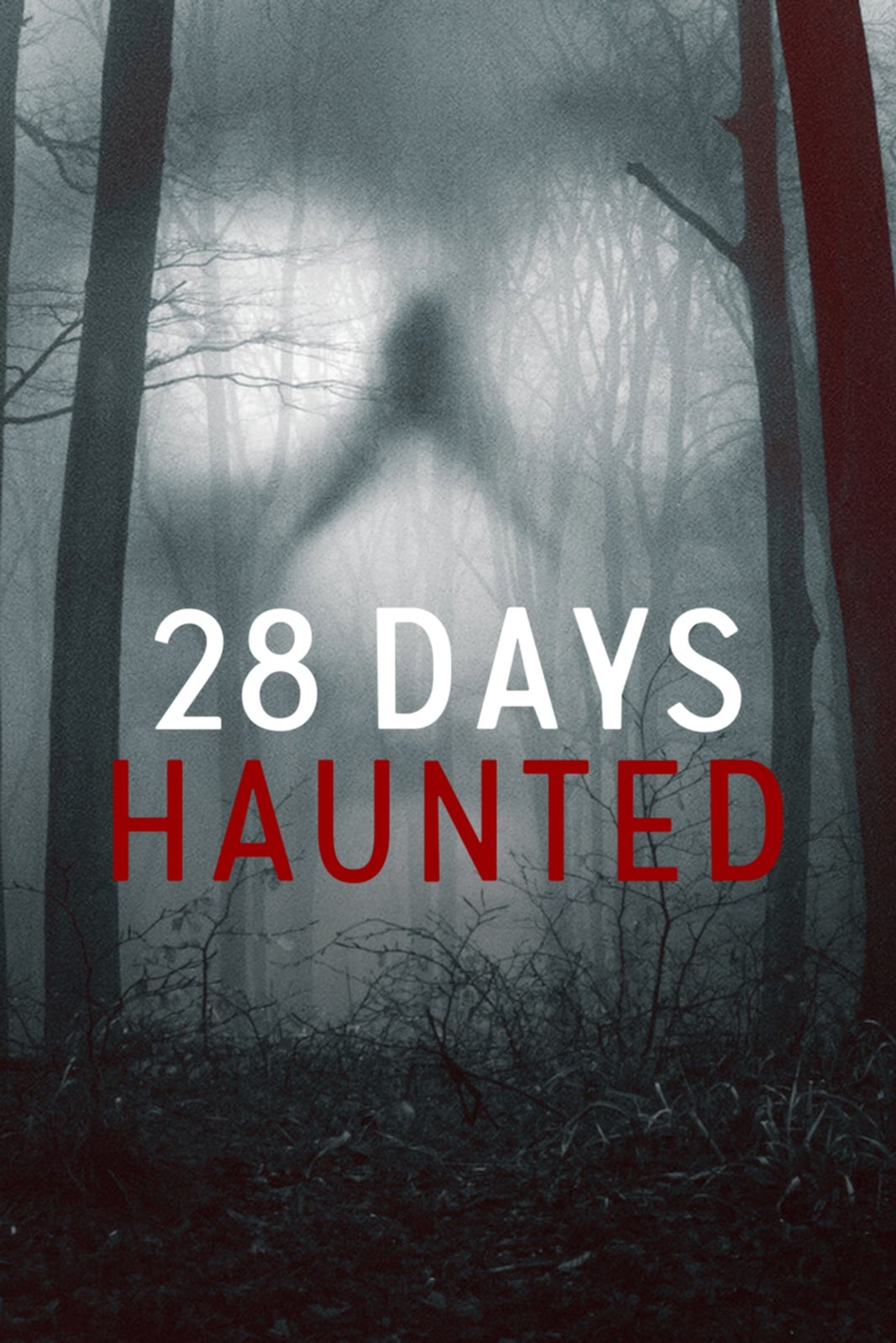 28 Days Haunted - Cover