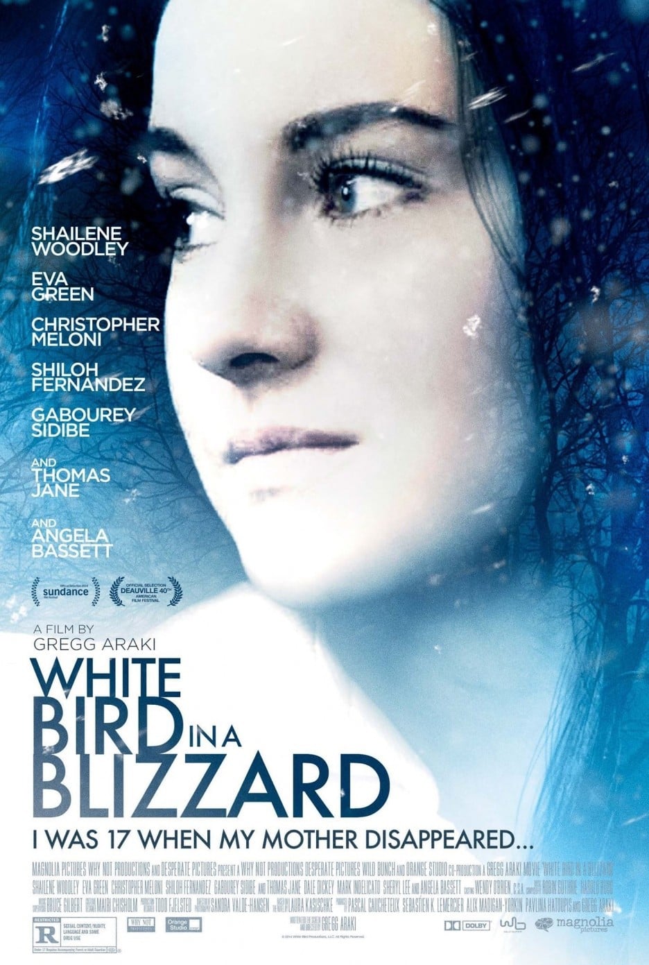 White Bird in a Blizzard - Cover