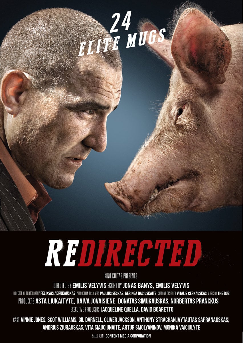 Redirected - Cover
