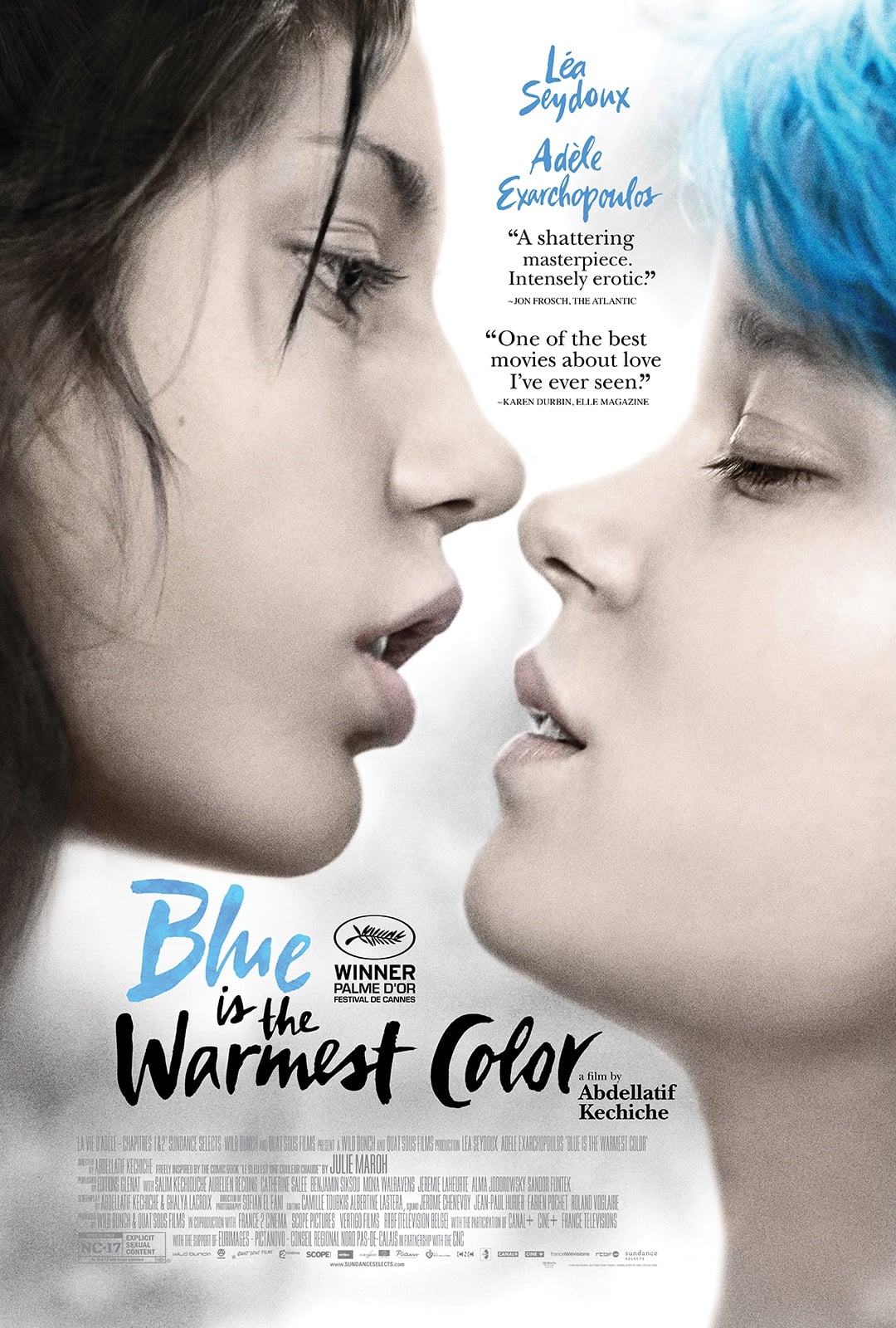 Blue Is the Warmest Color - Cover