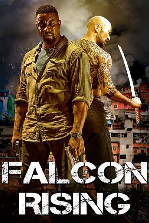 Falcon Rising - Cover