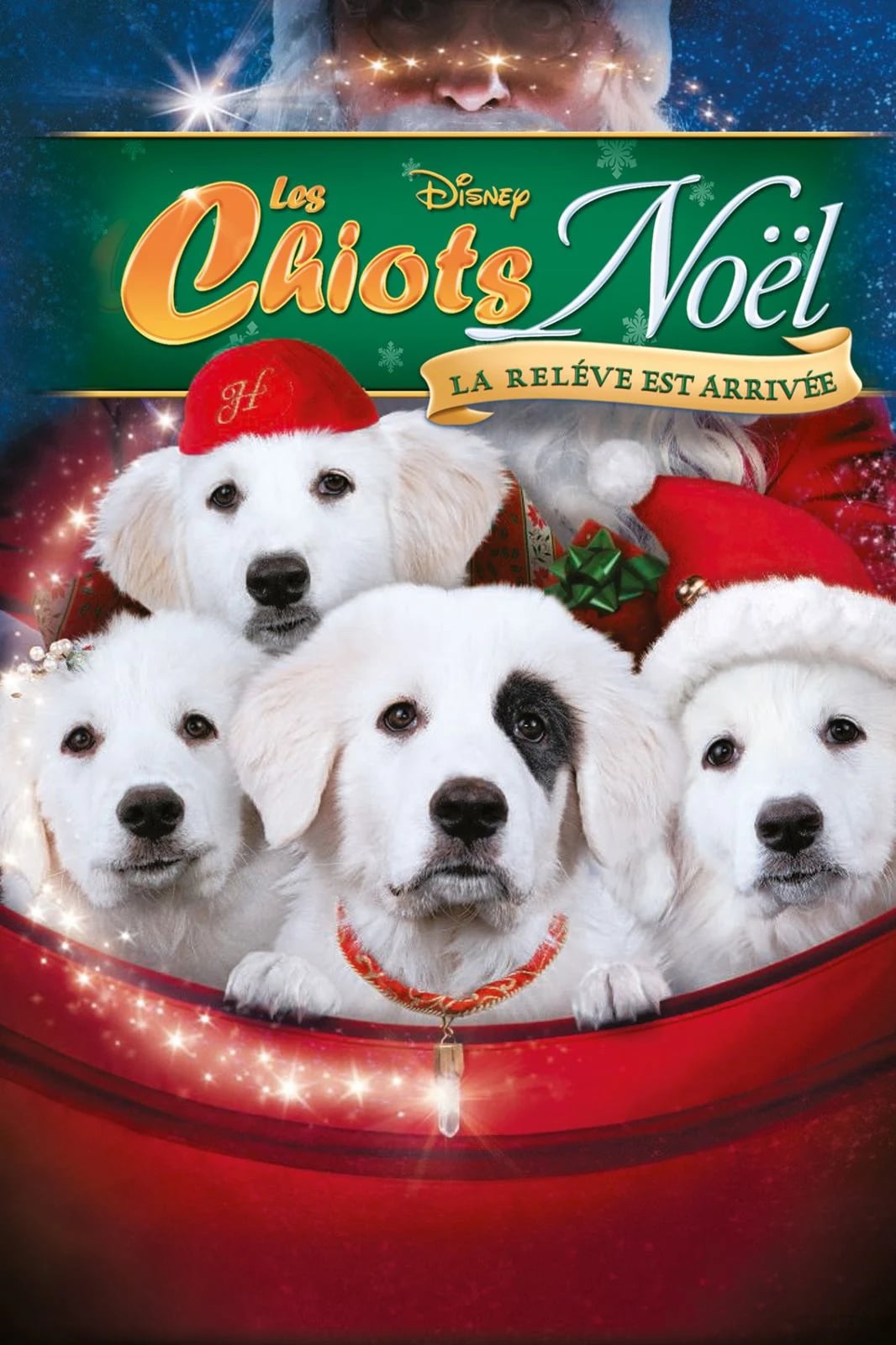 Les Chiots Noël, la relève est arrivée - Cover