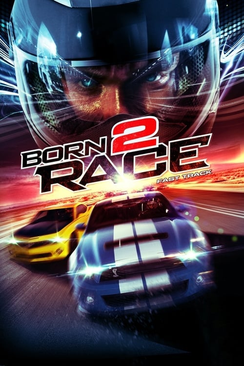 Born to Race: Fast Track - Cover
