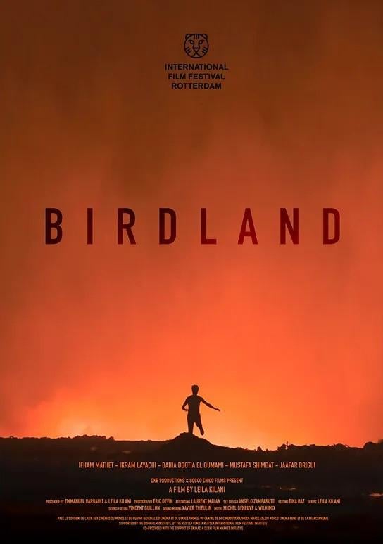 Birdland - Cover