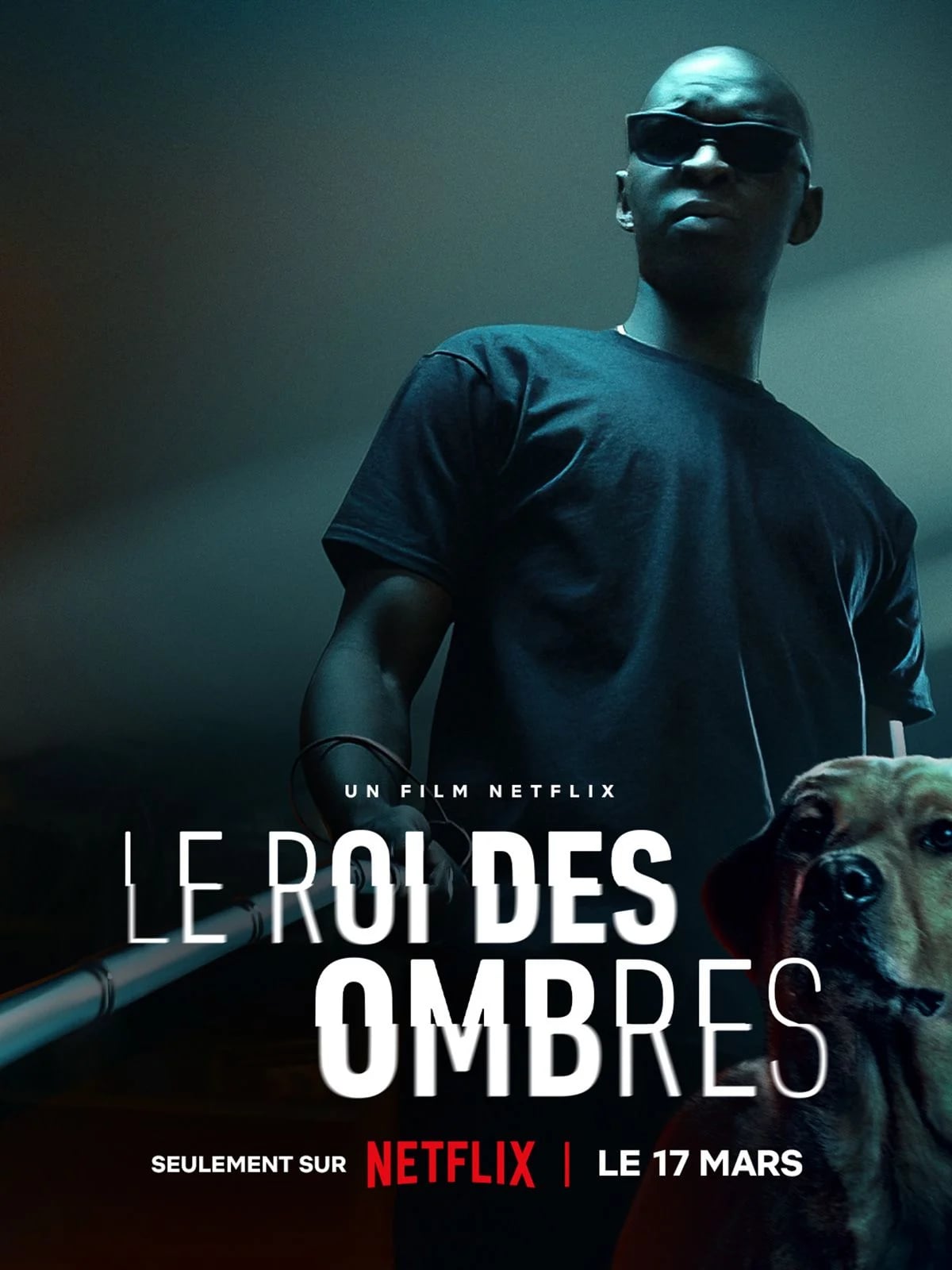 Le Roi des Ombres - Cover
