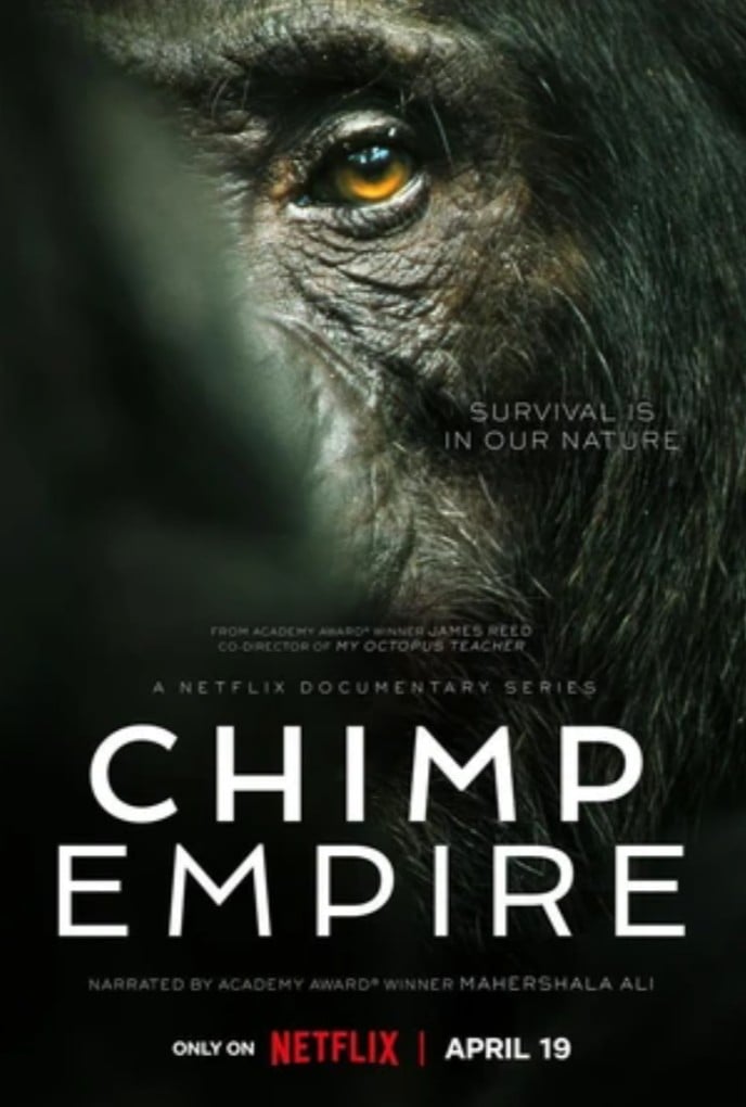 Chimp Empire - Cover