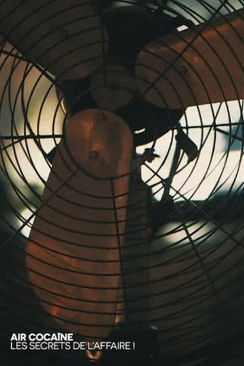 Air Cocaïne : les secrets de l'affaire ! - Cover