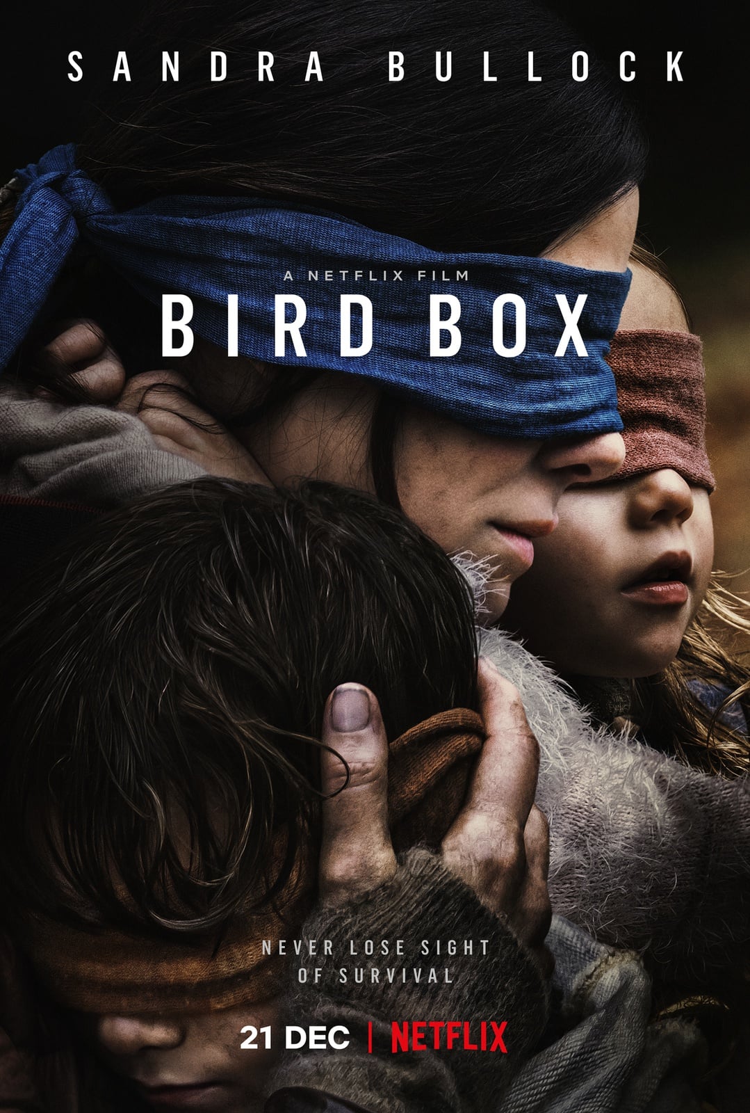 Bird Box - Cover