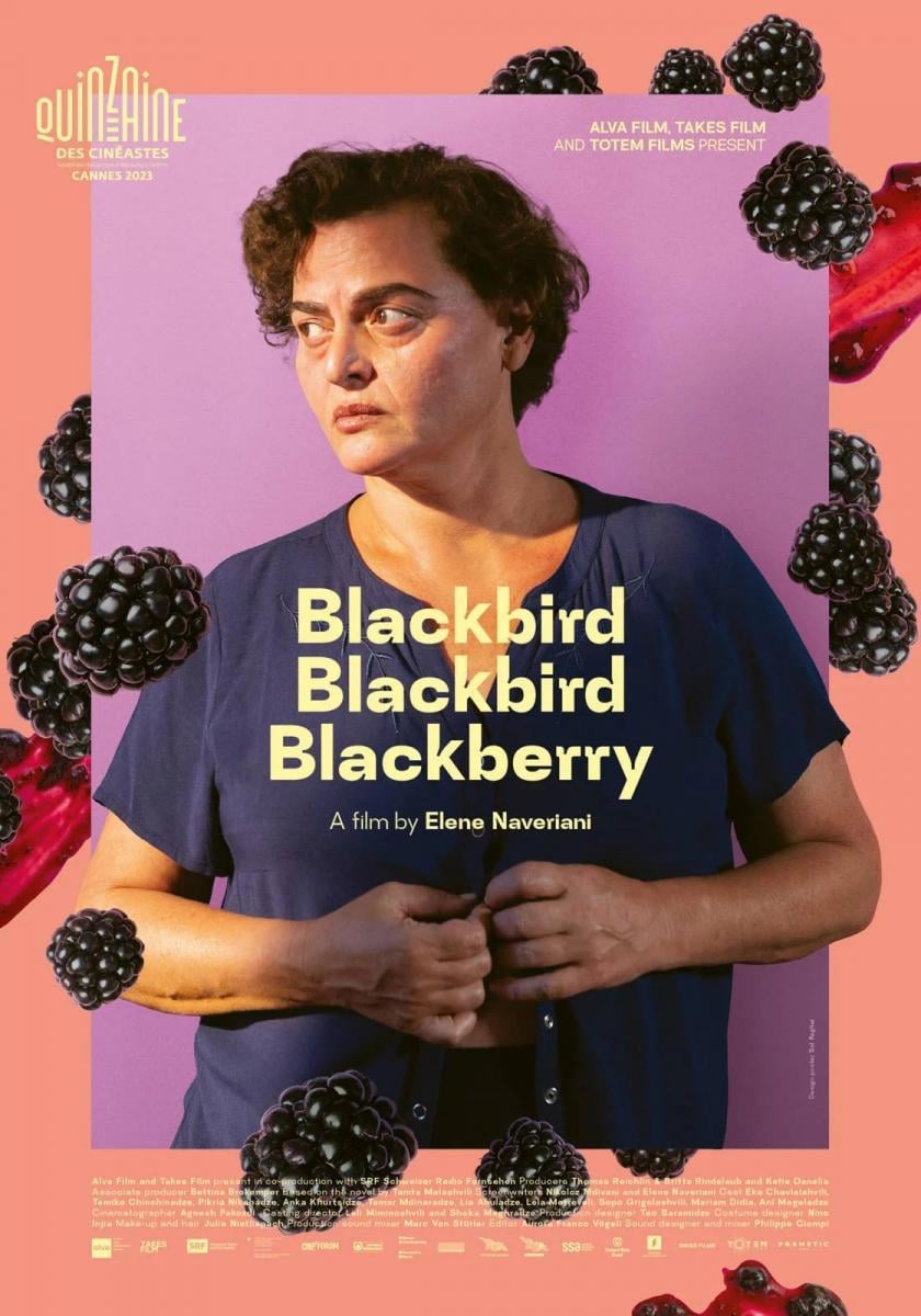 Blackbird Blackbird Blackberry - Cover
