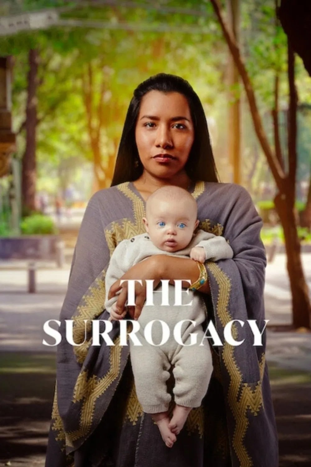 The Surrogacy - Cover