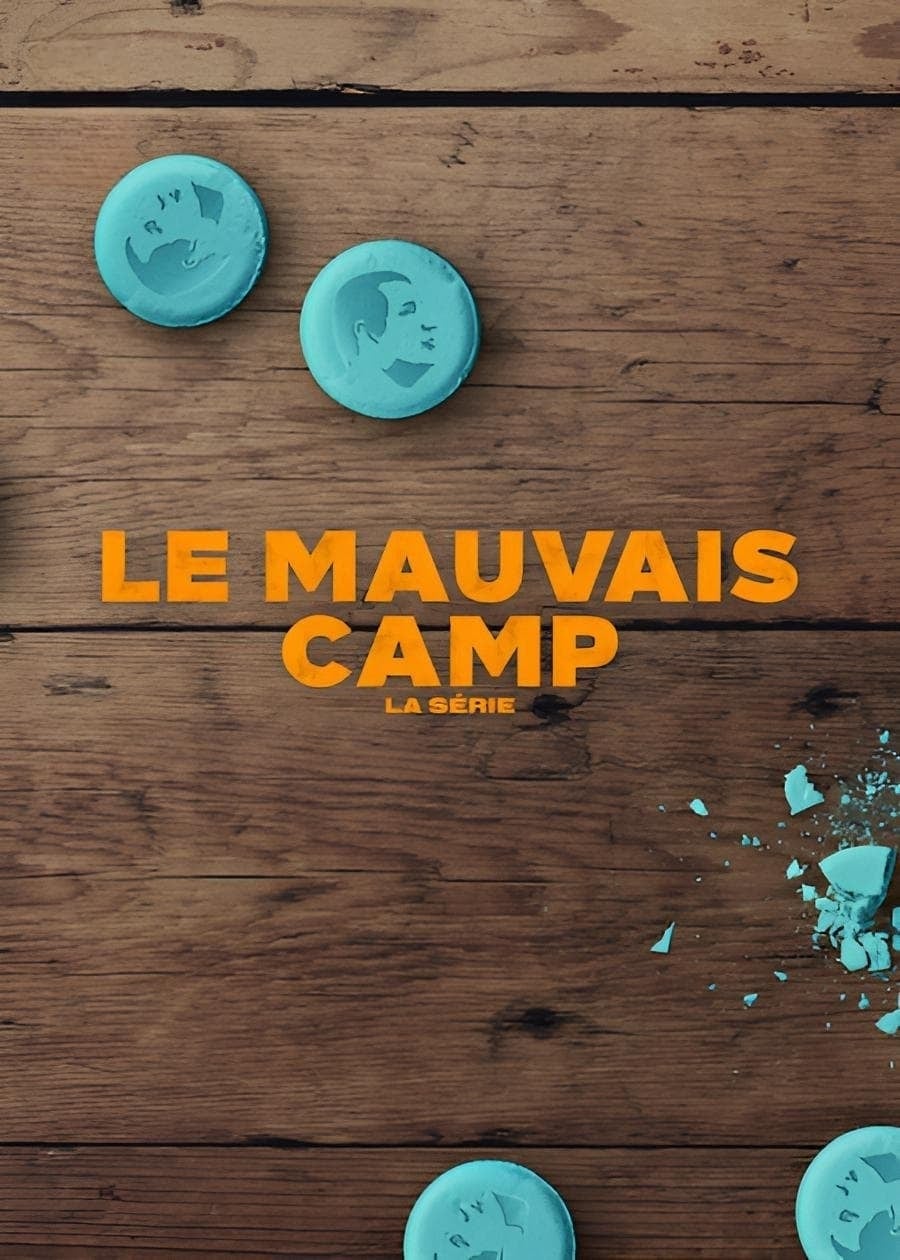 Le Mauvais Camp: La série - Cover