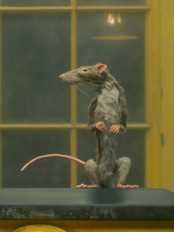 Le Preneur de rats - Cover