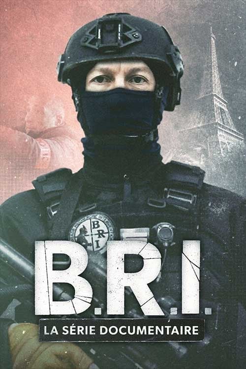 B.R.I. : La série documentaire - Cover