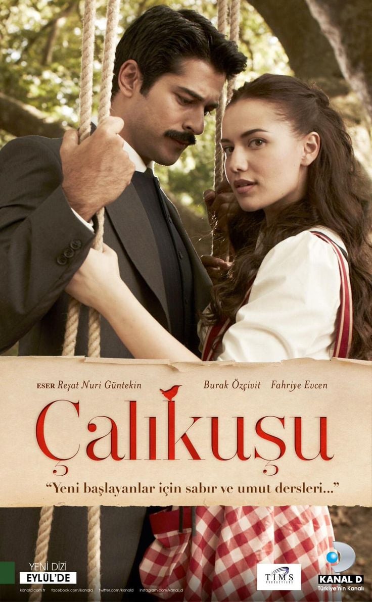 Çalikusu - Cover