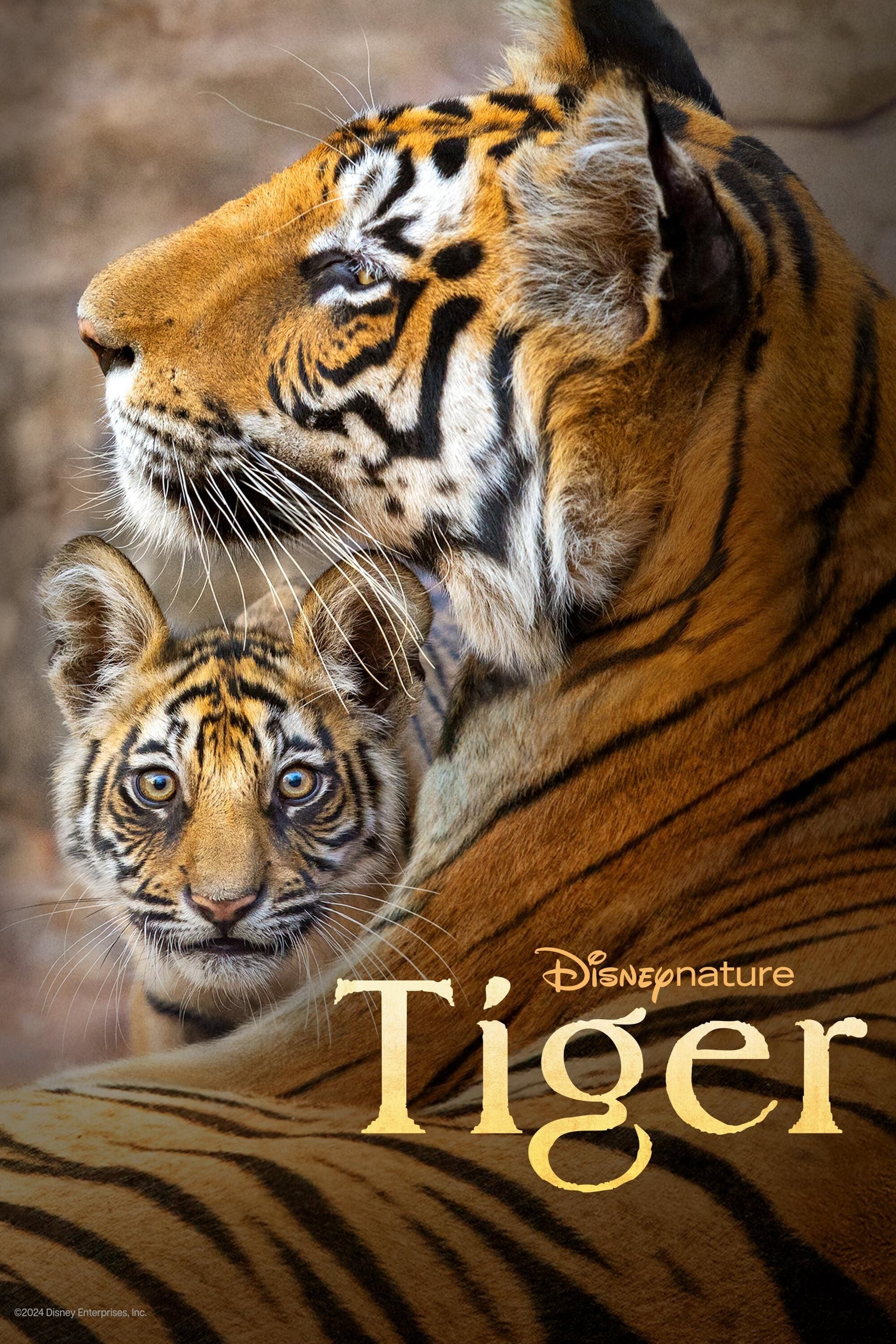 Tiger - Cover