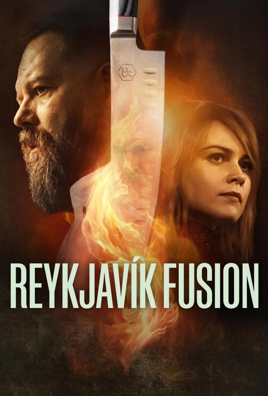 Reykjavík Fusion - Cover