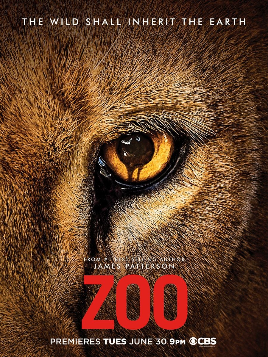Zoo - Cover