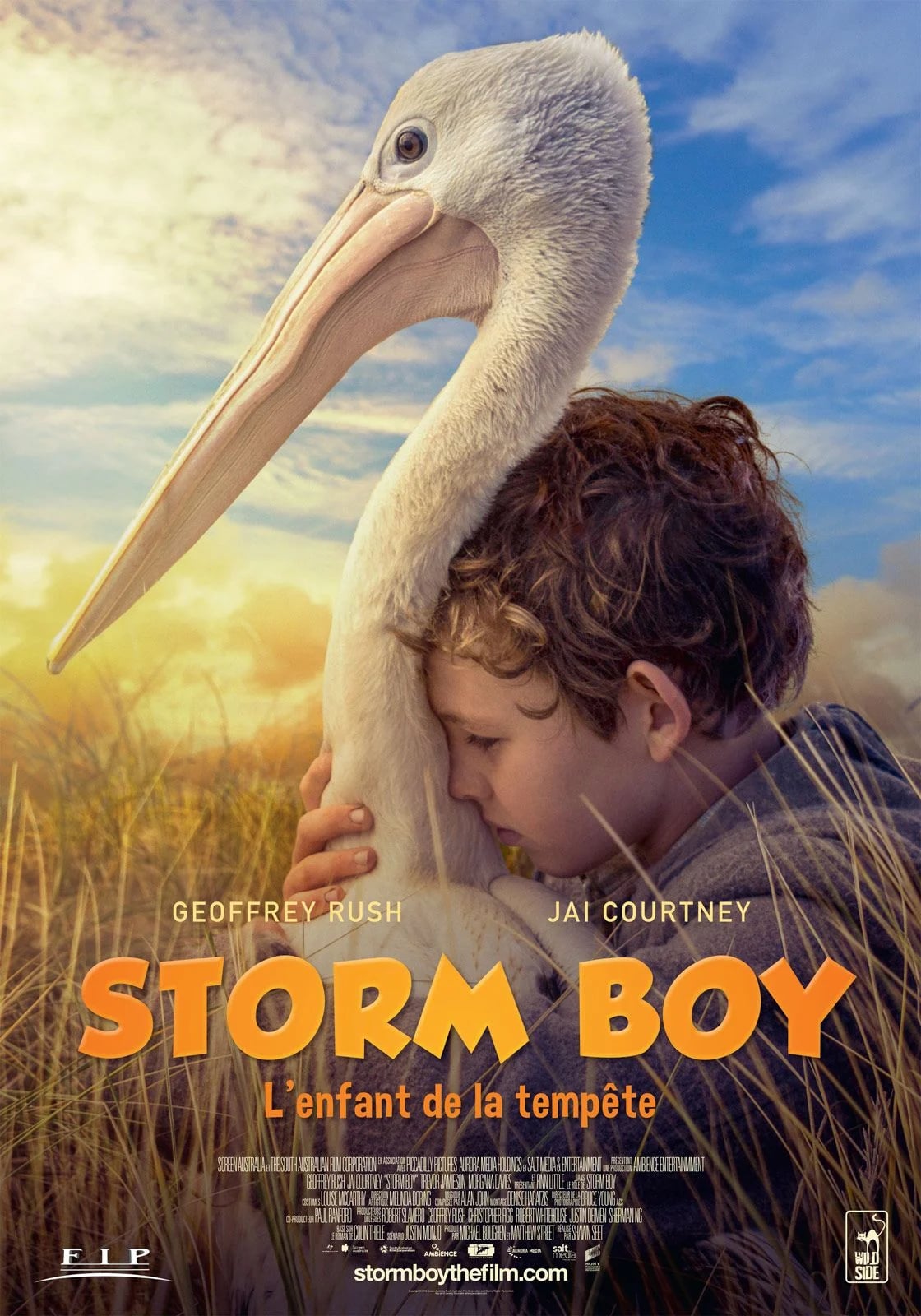 Storm Boy - Cover