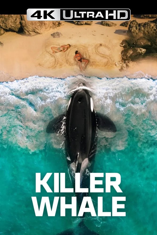 Killer Whale - Cover