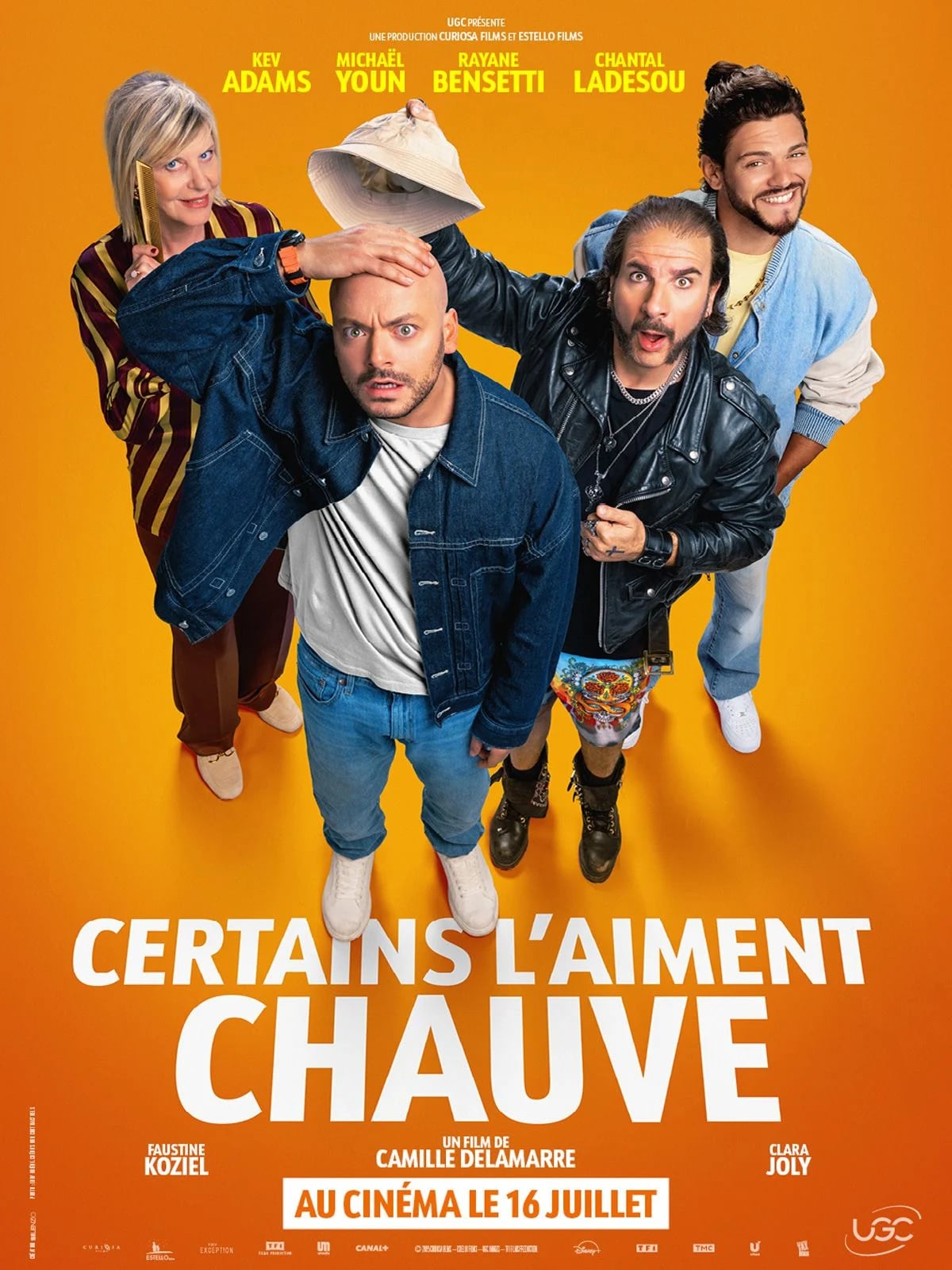 Certains l'aiment chauve - Cover