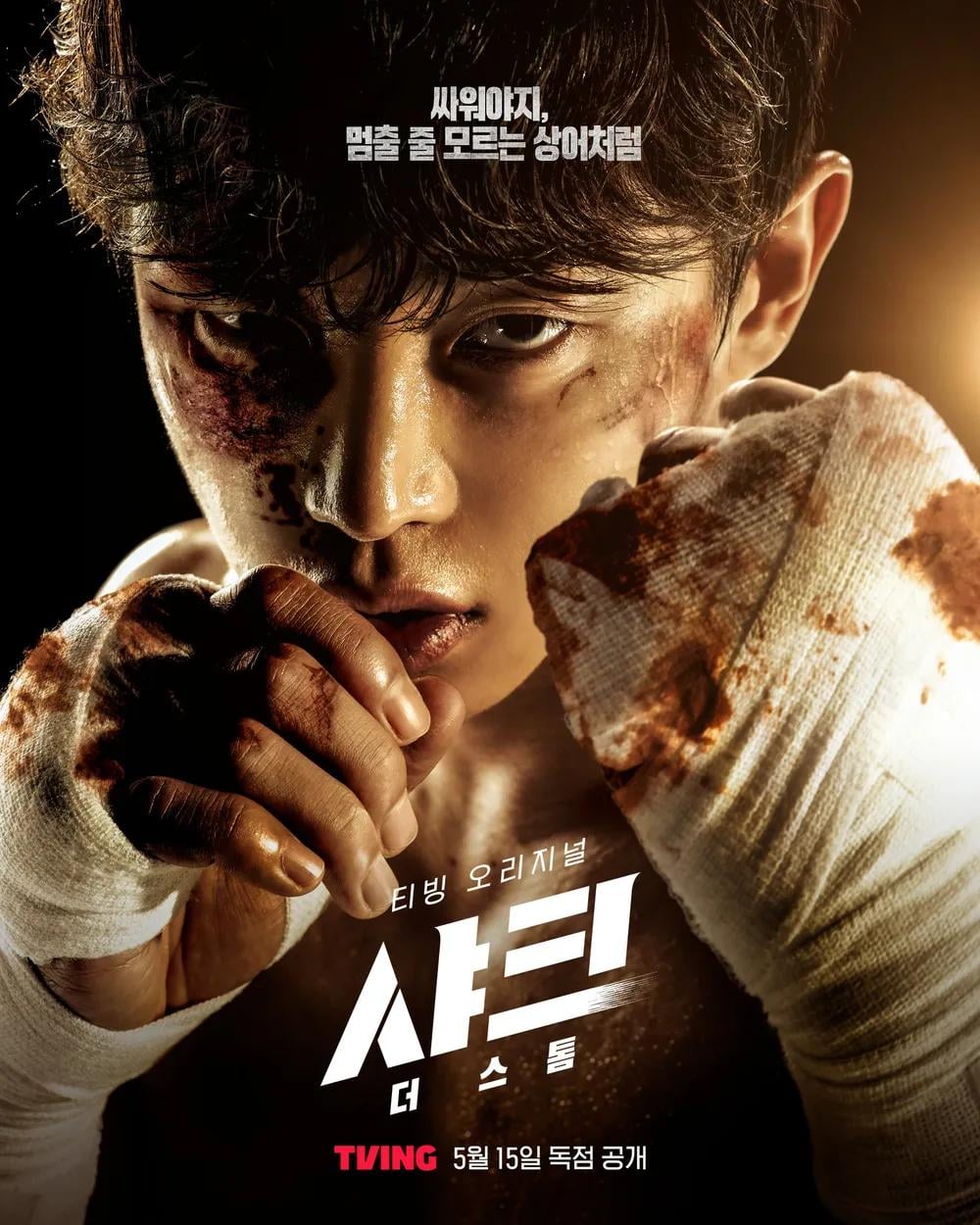 Shark: The Storm - Cover