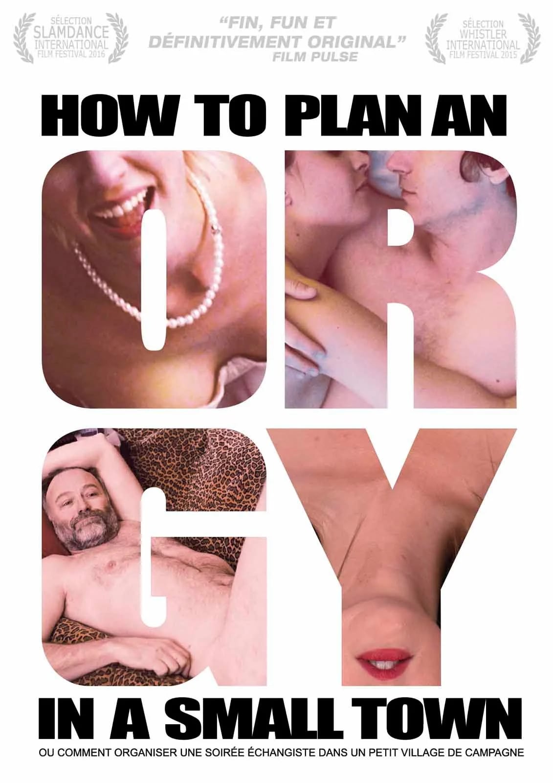 How to Plan an Orgy in a Small Town - Cover