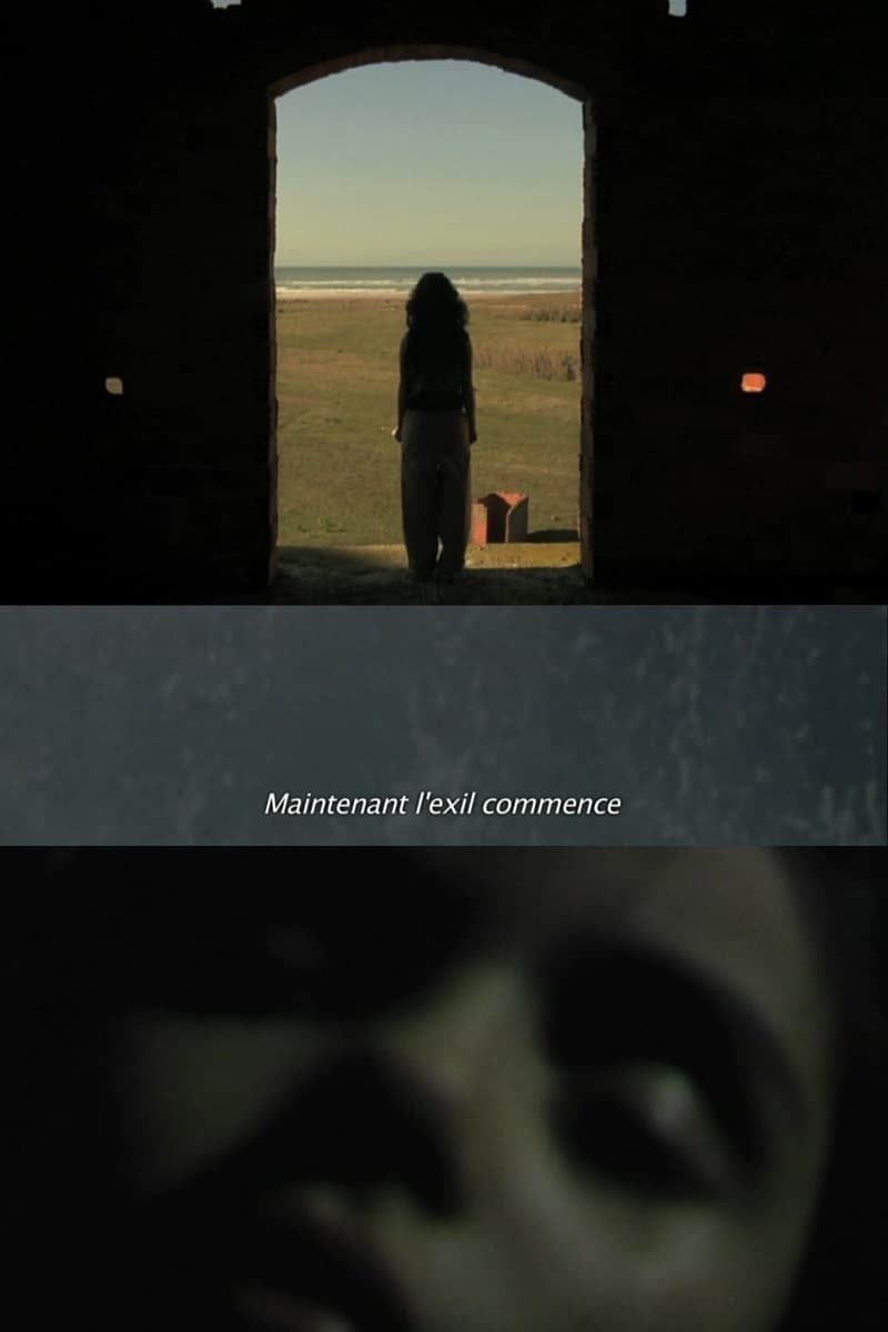 Memory Image