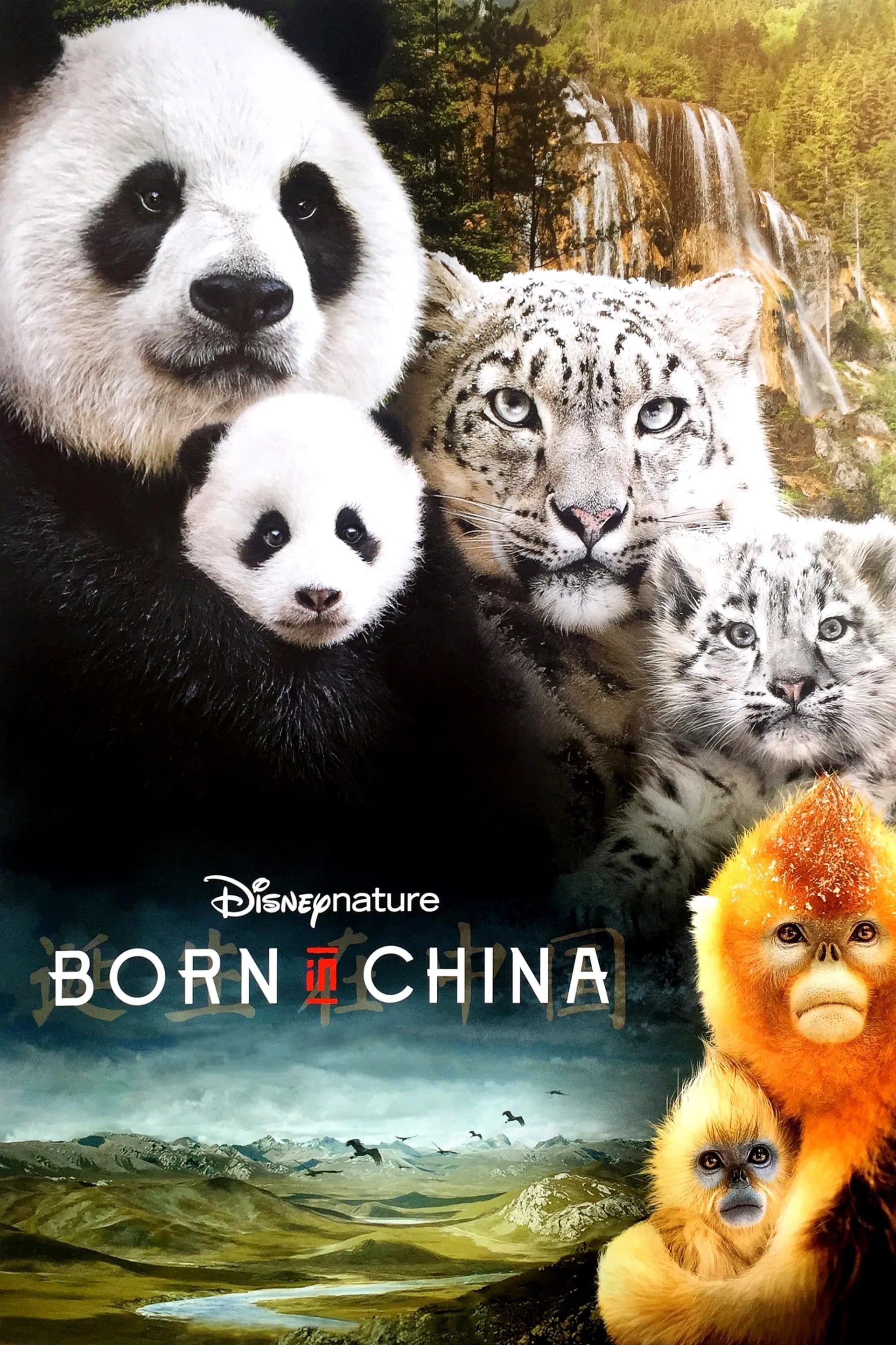 Born in China - Cover