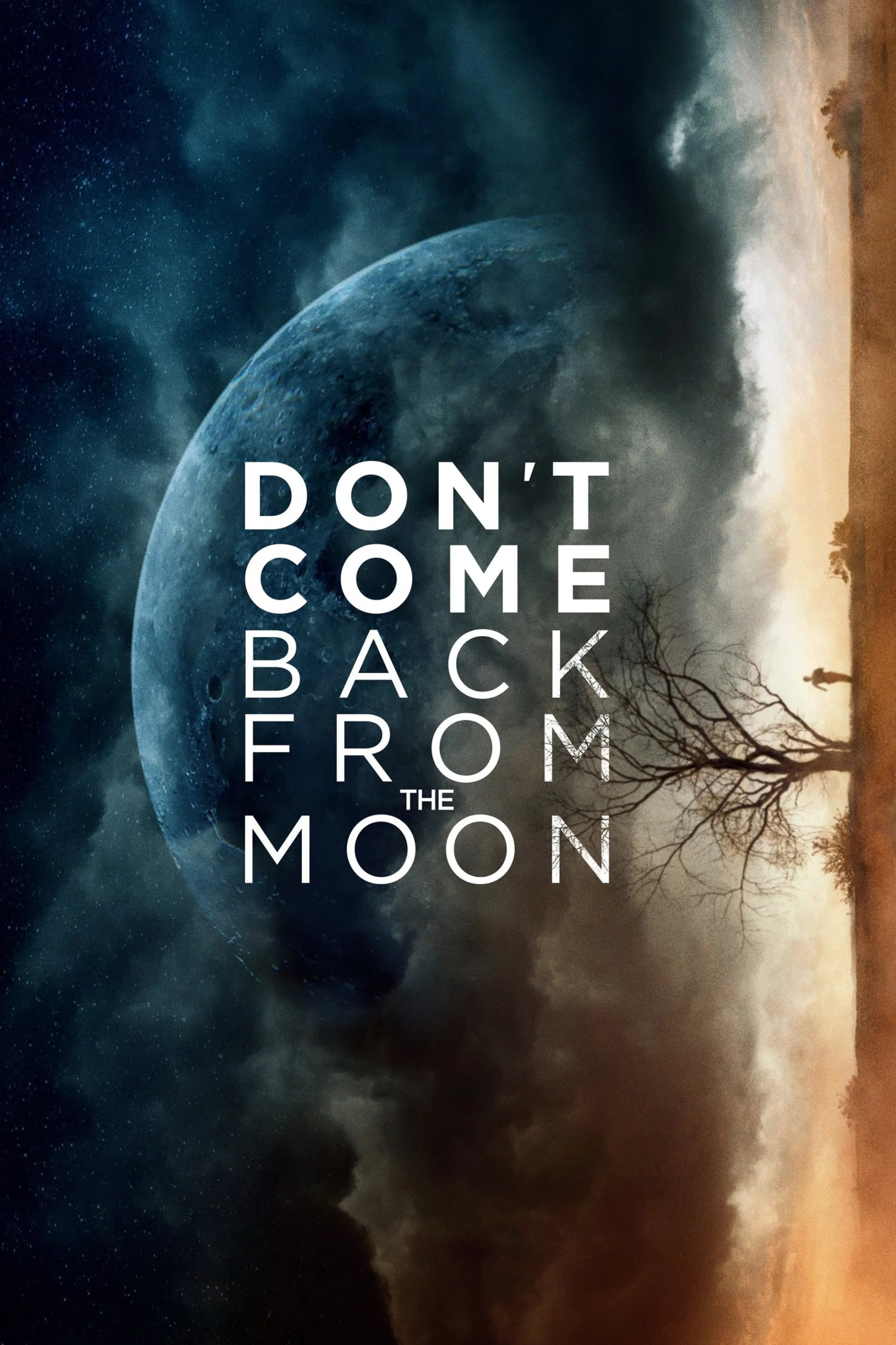 Don't Come Back from the Moon - Cover