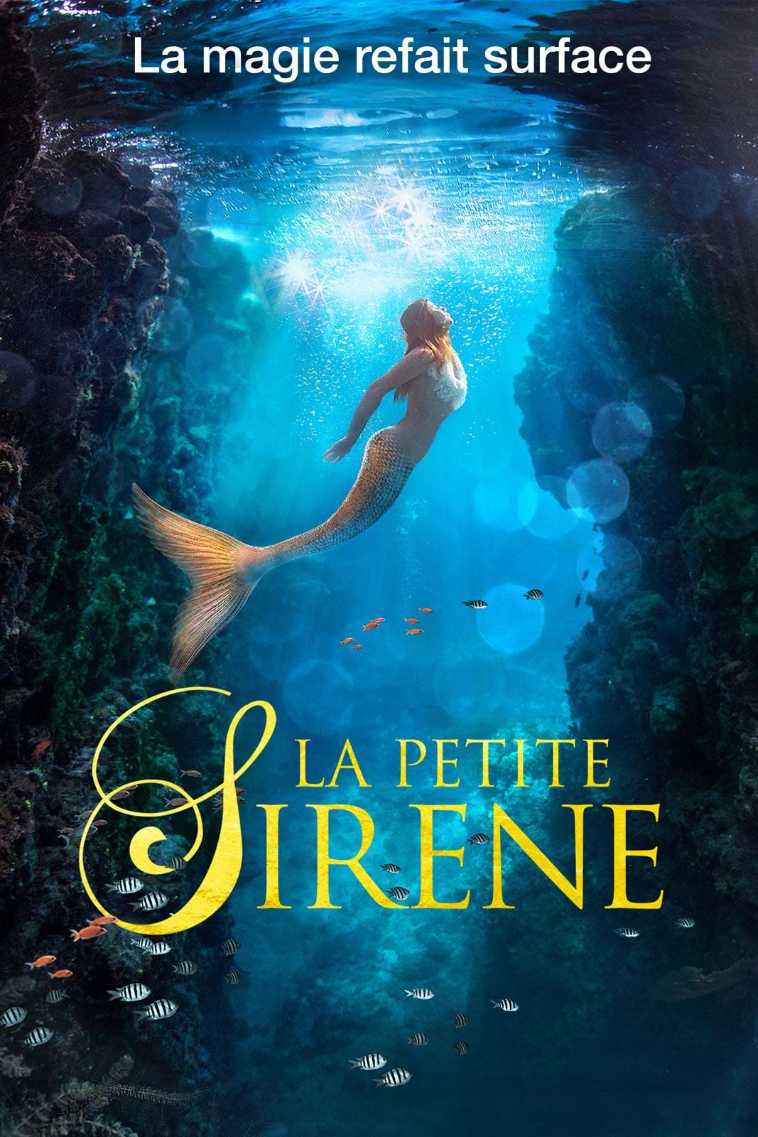 La Petite Sirène - Cover