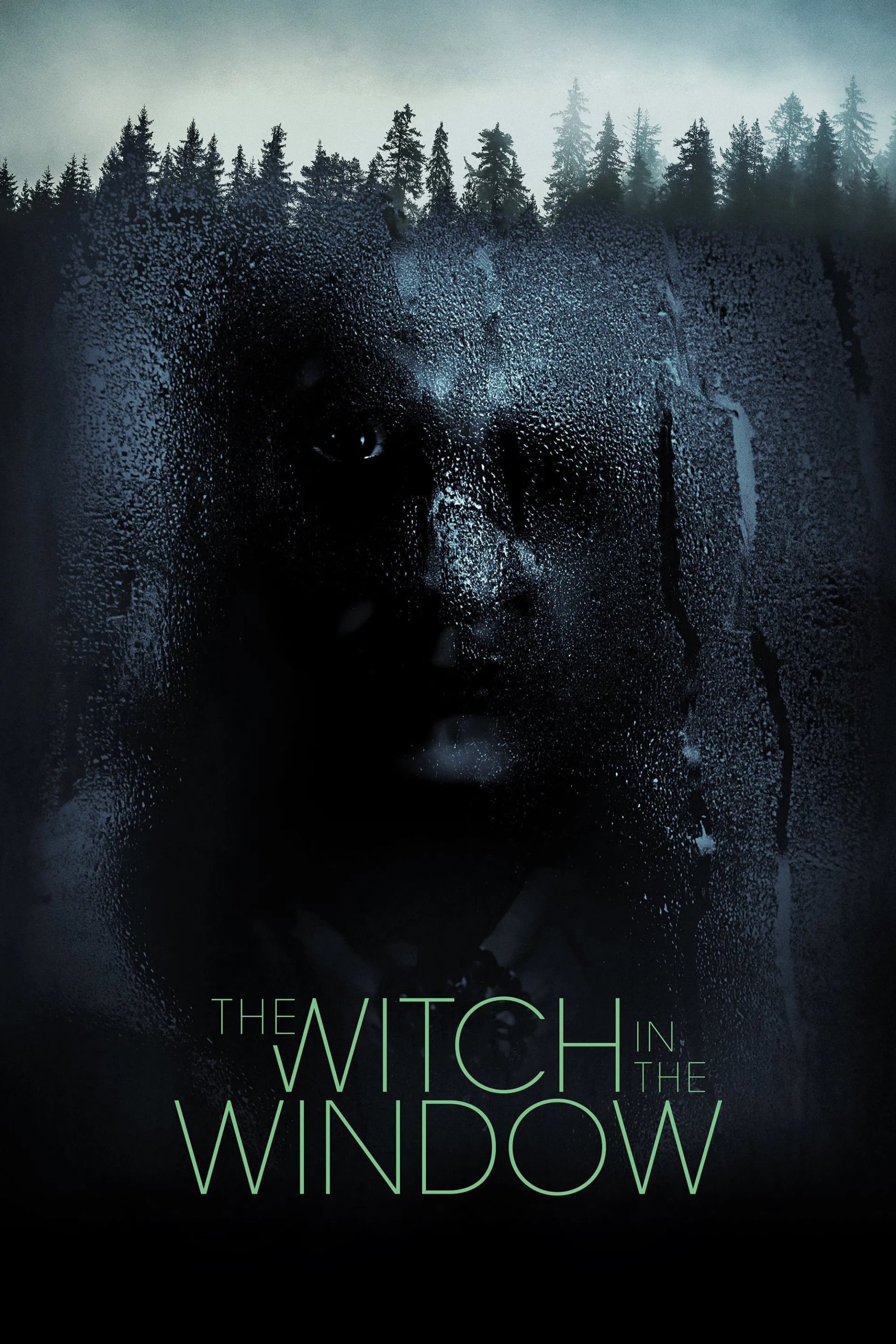 The Witch in the Window - Cover