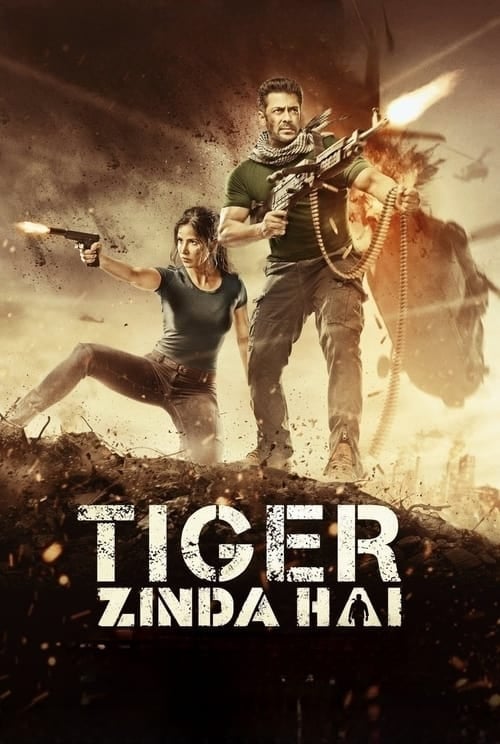 Tiger Zinda Hai - Cover