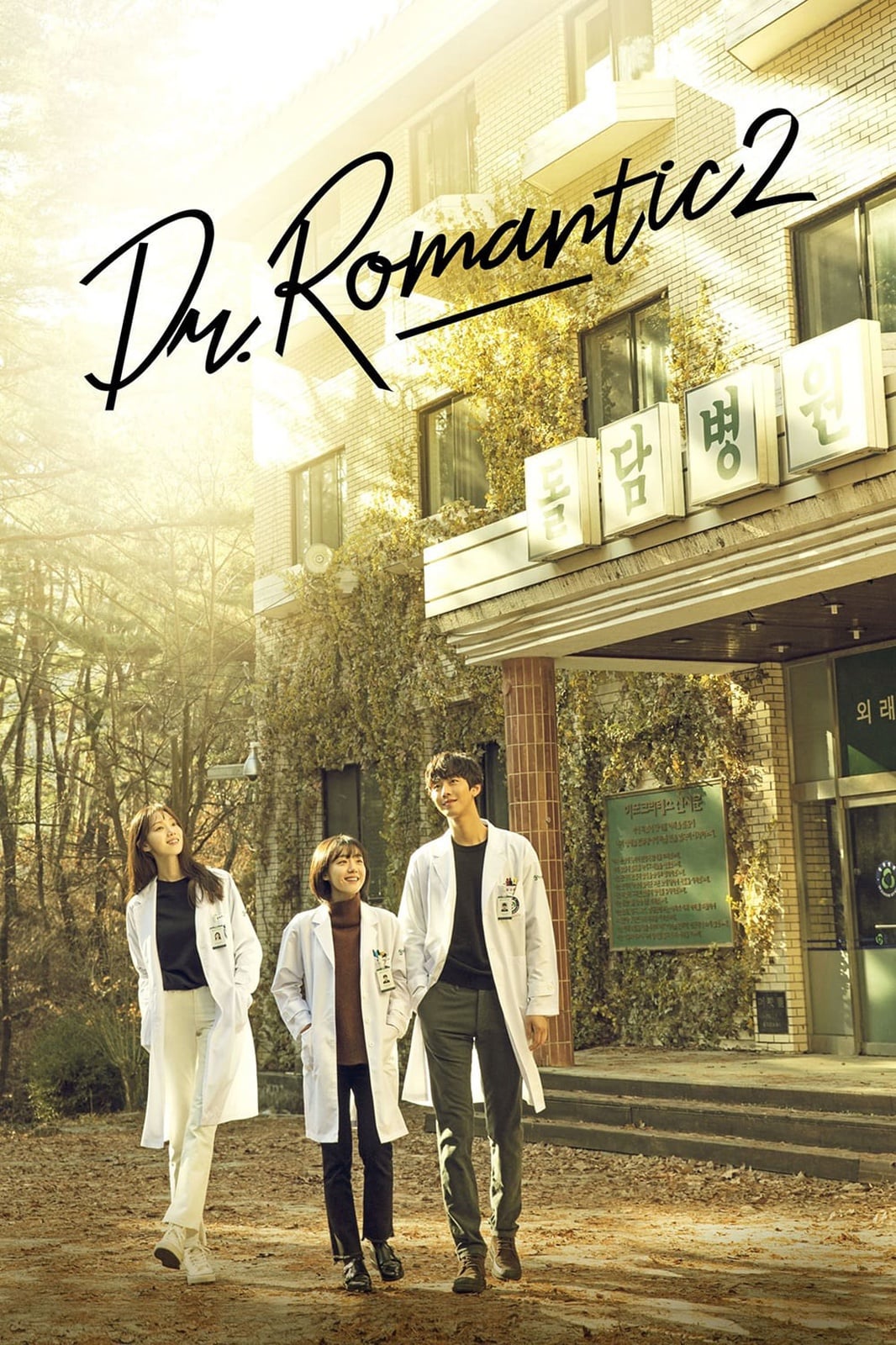 Dr. Romantic - Cover