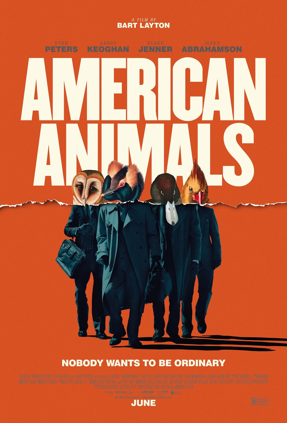American Animals - Cover