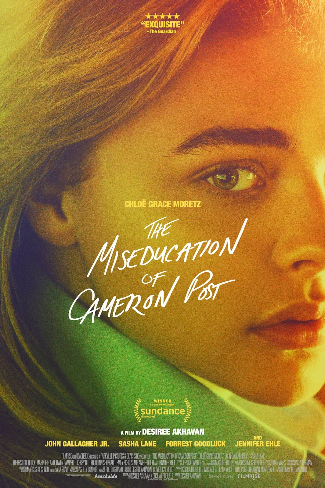 The Miseducation of Cameron Post - Cover