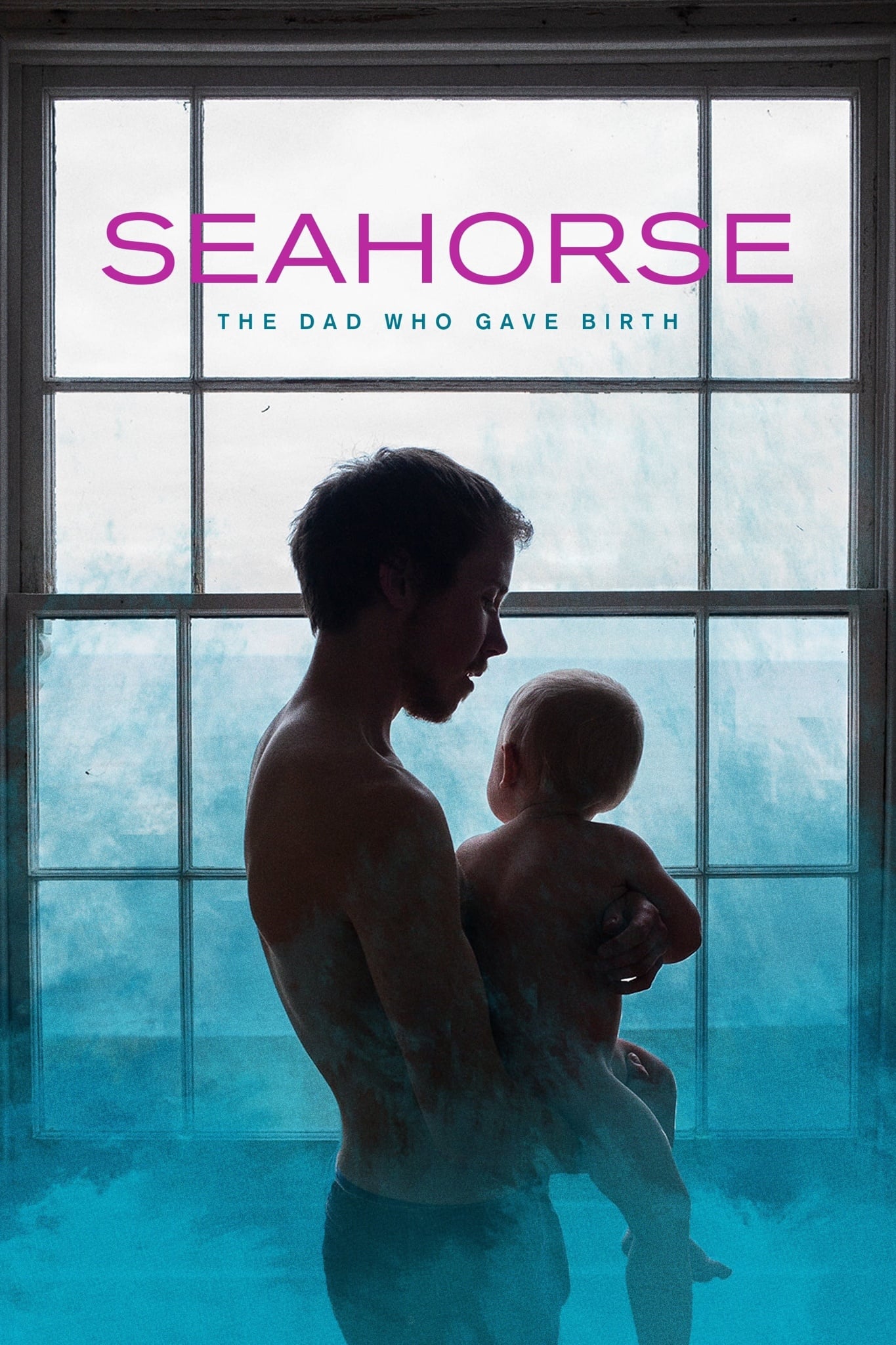 Seahorse: The Dad Who Gave Birth - Cover
